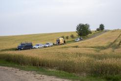 Beats of the bees (29.6.2024)