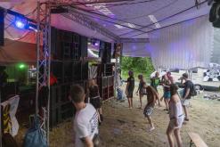 Beats of the bees (29.6.2024)