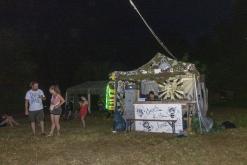 Beats of the bees (29.6.2024)