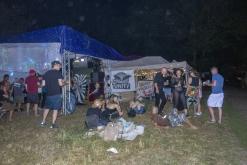 Beats of the bees (29.6.2024)