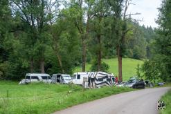 Bass Vultures - 3.8.2024