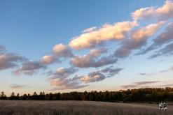 Oktekk - 25th Anniversary party (9.-11.8.2024)