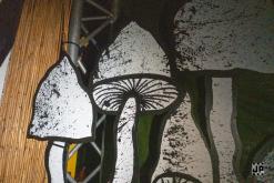 ZASE v LESE 2024 - 10th Anniversary