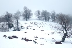 přes vrchol Merša, Mizhhiria, UA