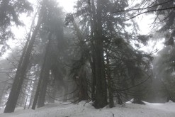 přes vrchol Merša, Mizhhiria, UA