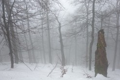 přes vrchol Merša, Mizhhiria, UA