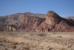 Eilat PR, Negevská poušť