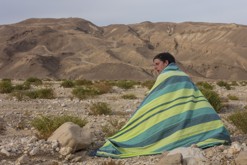 Hamakus pánus. / Eilat PR, Negevská poušť, IL