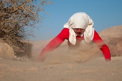 Žer písek // Sand-eater / Eilat PR, Negevská poušť, IL