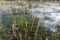 z Eindhoven do Weeze - Prodloužený víkend po Evropě (únor 2018)