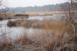 z Eindhoven do Weeze - Prodloužený víkend po Evropě (únor 2018)