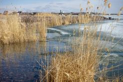 Balchaš - březen 2018