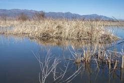 Altyn-Emel - duben 2018