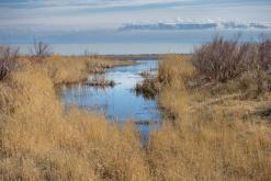 Altyn-Emel - duben 2018