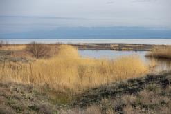 Altyn-Emel - duben 2018