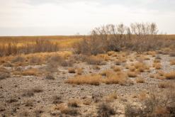 Altyn-Emel - duben 2018