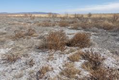 Altyn-Emel - duben 2018