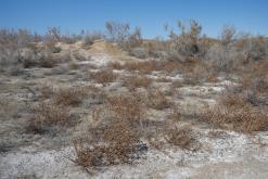 Altyn-Emel - duben 2018