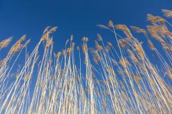 Altyn-Emel - duben 2018