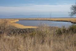 Altyn-Emel - duben 2018