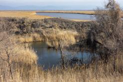 Altyn-Emel - duben 2018