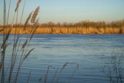 Altyn-Emel - duben 2018