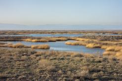 Altyn-Emel - duben 2018