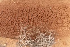 Altyn-Emel - duben 2018