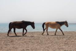 Balykčy - Na cestách po Kyrgyzstánu (duben 2018)