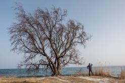 Balykčy - Na cestách po Kyrgyzstánu (duben 2018)