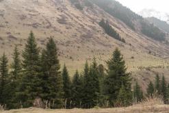 z Karakol k Ala-Kul - Na cestách po Kyrgyzstánu (duben 2018)