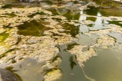 z Karakol k Ala-Kul - Na cestách po Kyrgyzstánu (duben 2018)