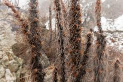 z Karakol k Ala-Kul - Na cestách po Kyrgyzstánu (duben 2018)