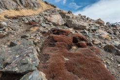 z Karakol k Ala-Kul - Na cestách po Kyrgyzstánu (duben 2018)