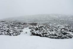 z Karakol k Ala-Kul - Na cestách po Kyrgyzstánu (duben 2018)