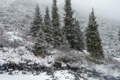 z Karakol k Ala-Kul - Na cestách po Kyrgyzstánu (duben 2018)