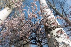 Karakol - Na cestách po Kyrgyzstánu (duben 2018)