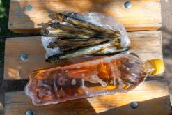 Karakol - Na cestách po Kyrgyzstánu (duben 2018)