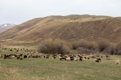 od Kyzart k Sonkol - Na cestách po Kyrgyzstánu (duben 2018)
