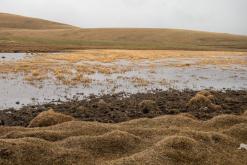 Sonkol - Na cestách po Kyrgyzstánu (duben 2018)