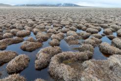 Sonkol - Na cestách po Kyrgyzstánu (duben 2018)