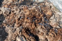 Sonkol - Na cestách po Kyrgyzstánu (duben 2018)