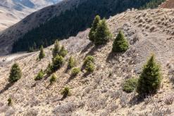 Sonkol - Na cestách po Kyrgyzstánu (duben 2018)