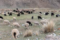 Sonkol - Na cestách po Kyrgyzstánu (duben 2018)