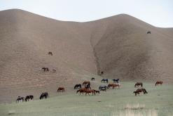 Sonkol - Na cestách po Kyrgyzstánu (duben 2018)