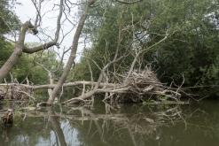 Týniště nad Orlicí, Třebechovice pod Orebem - červenec 2018