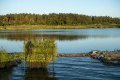 Máchovo jezero - červenec 2018