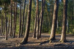 Máchovo jezero - červenec 2018