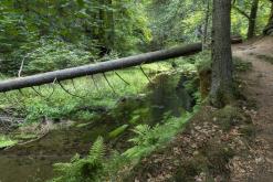 České Švýcarsko - červenec 2018