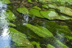 České Švýcarsko - červenec 2018